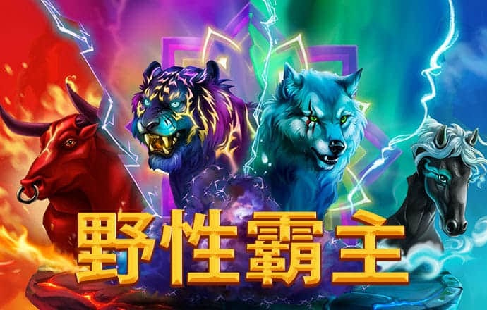 香港内部最准全年资料应用亮点
