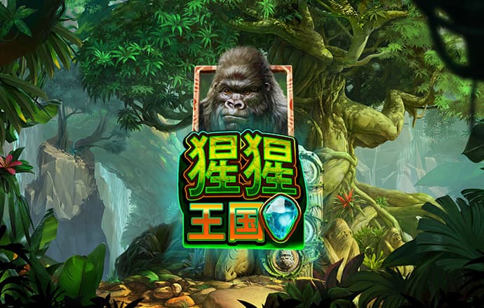 ky50登录入口